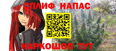 прущие грибы Партизанск