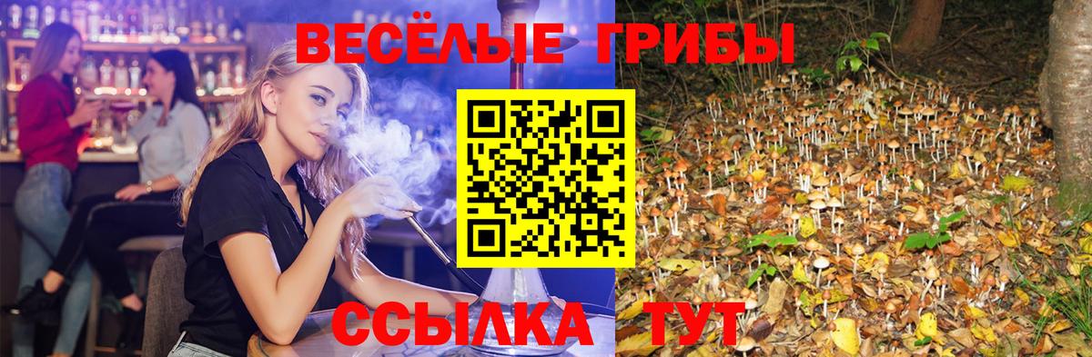 Галлюциногенные грибы мицелий Россошь