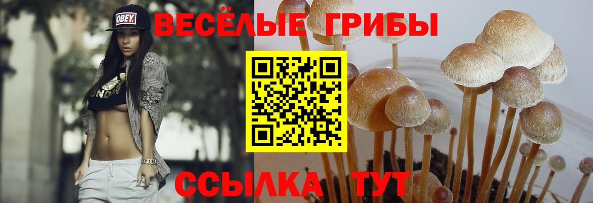 Россошь  Галлюциногенные грибы мицелий  где найти   Псилоцибиновые грибы Magic Shrooms  Вход с VPN 